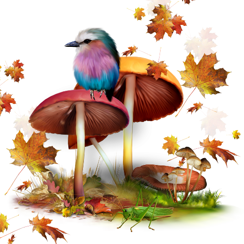 őszi állatok_143.png